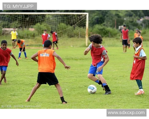 阿莱足球：探索足球世界的激情与梦想，点燃年轻人的运动热情